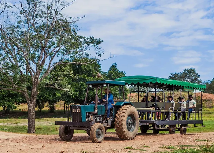 Pousada Pantanal Experiencia