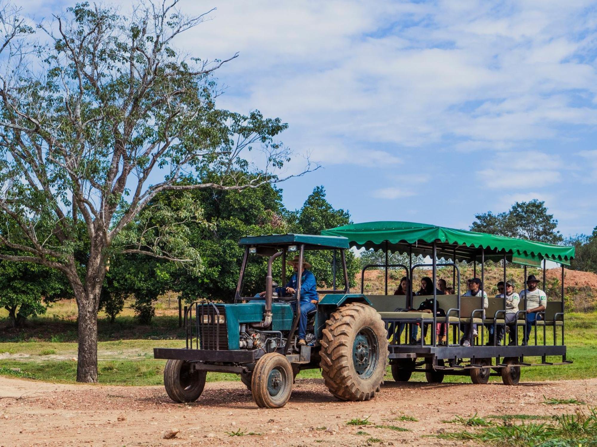 Pantanal Experiencia *