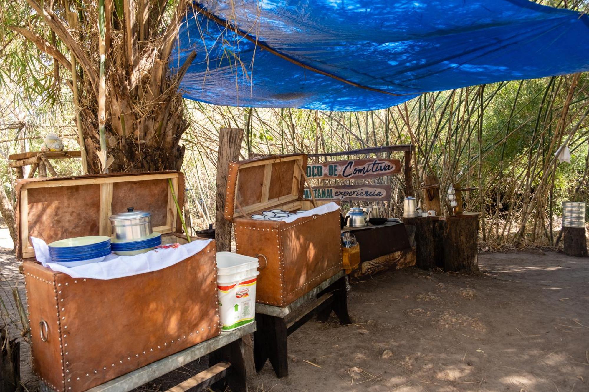 Pantanal Experiencia