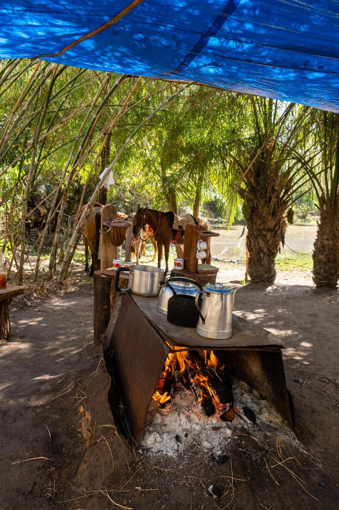 Farm stay Pantanal Experiencia *