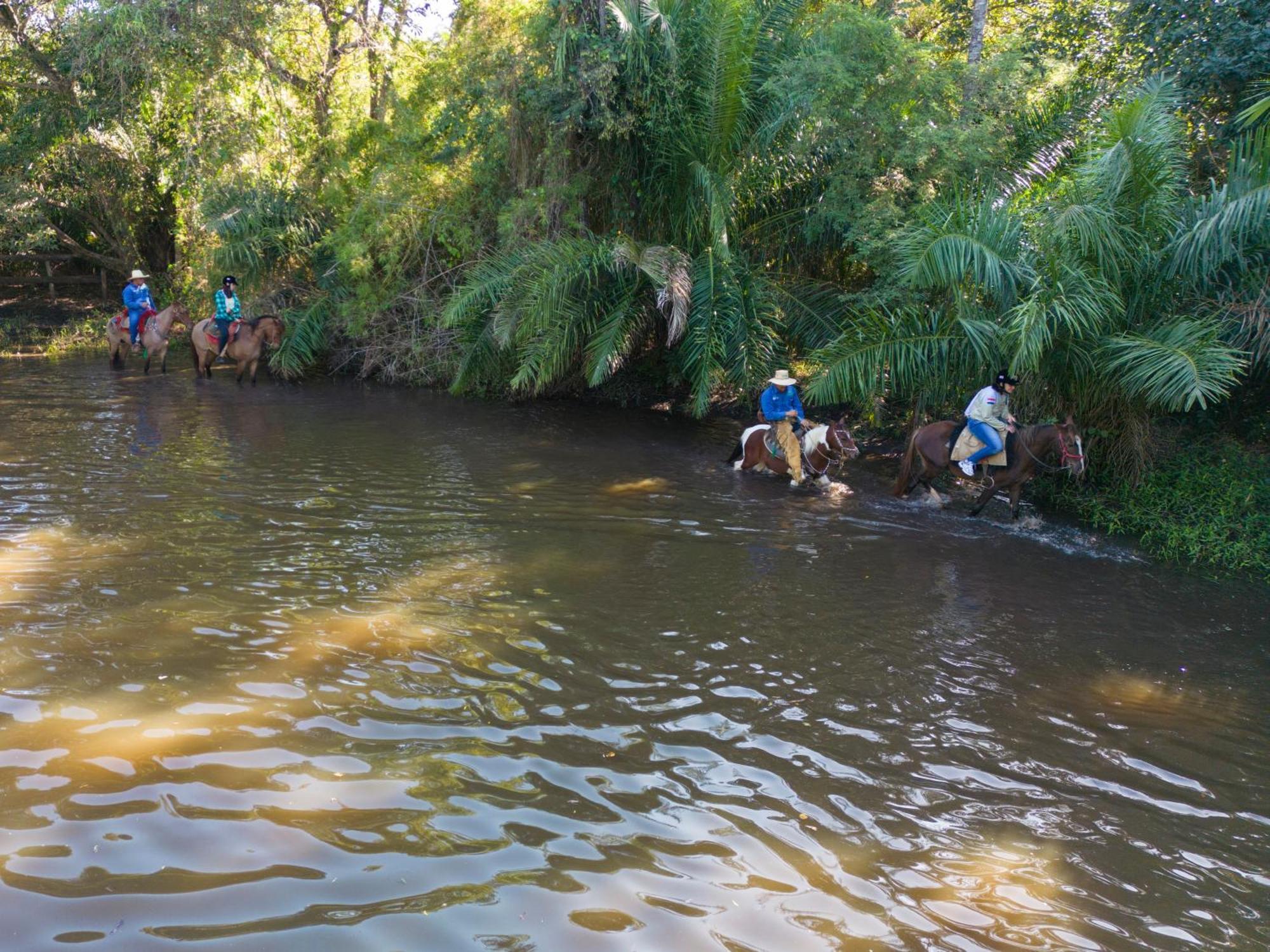 Pantanal Experiencia * Miranda