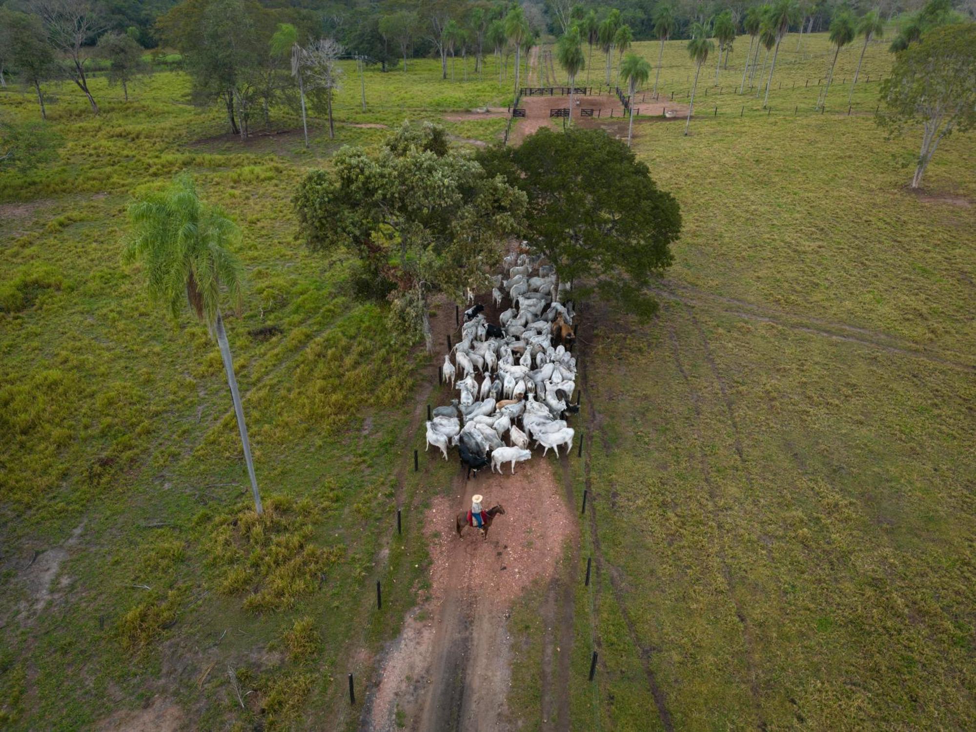 Farm stay Pantanal Experiencia Miranda