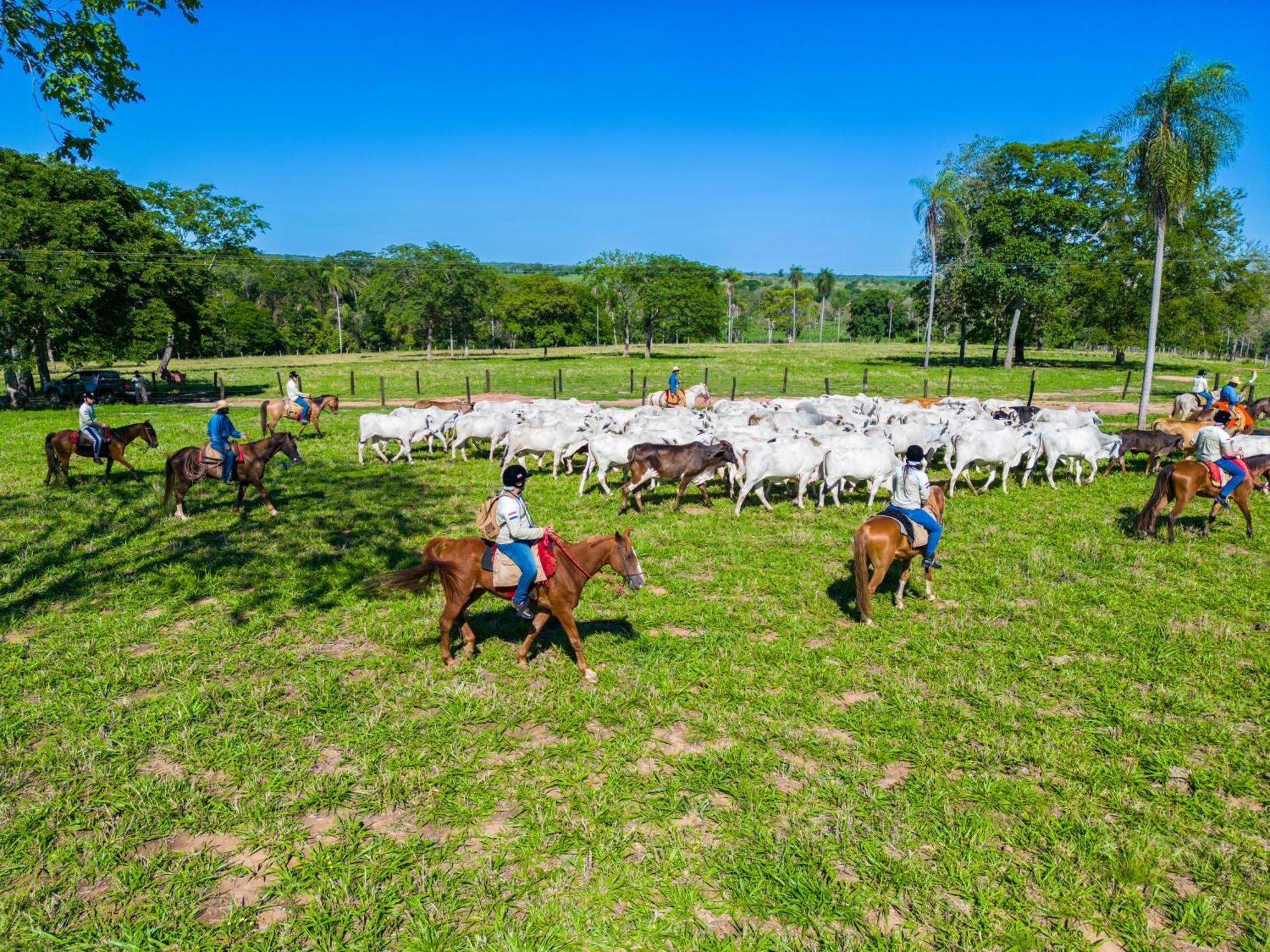 Pantanal Experiencia *