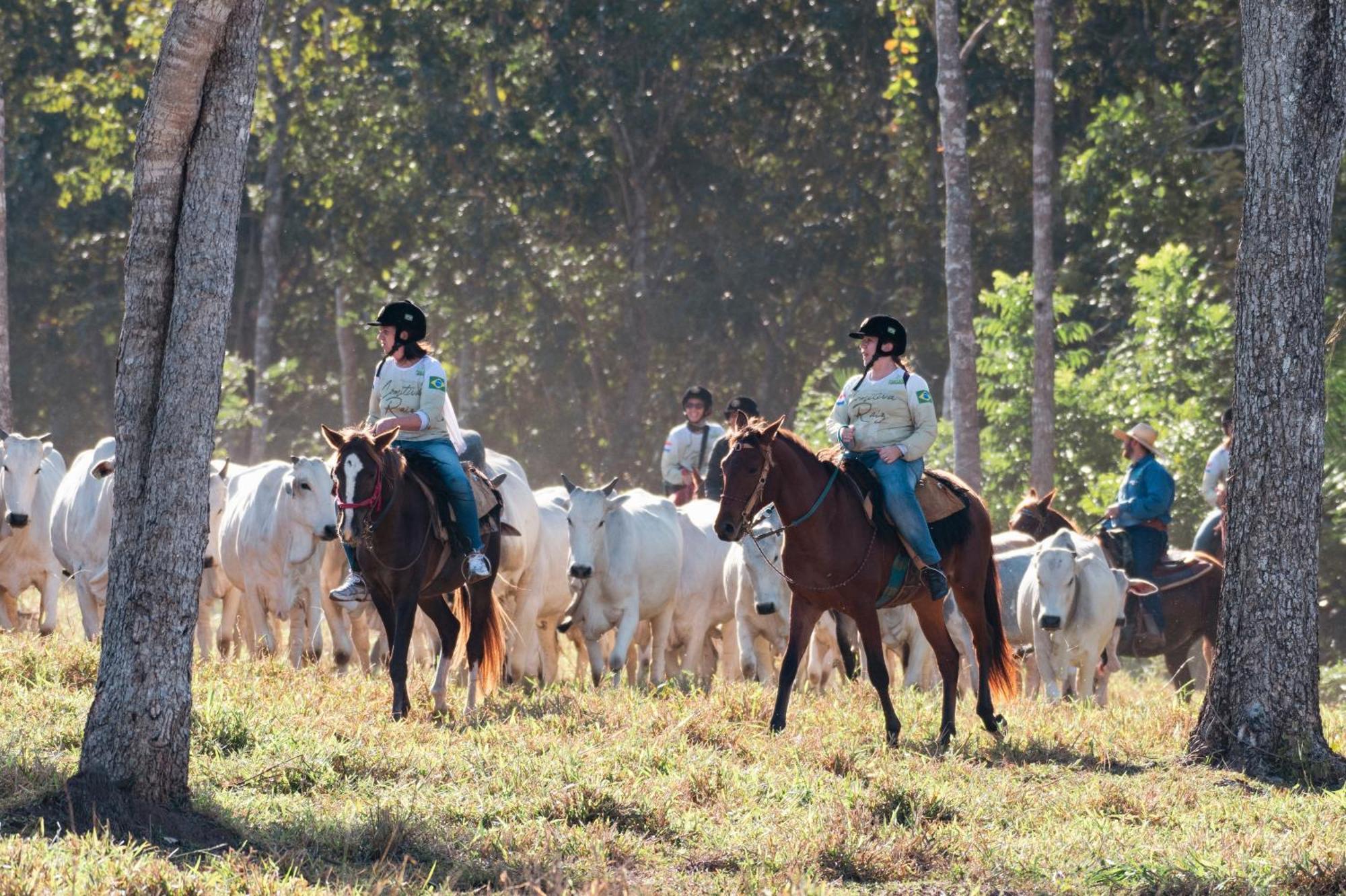 Pantanal Experiencia Farm stay Miranda